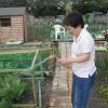 Allotment.jpg